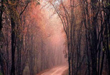 爱游戏大厅-帕尔马VS桑普多利亚：保级烽火中的灯塔德比