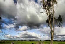 爱游戏官网-蓝鹰振翅！萨里豪赌欧冠资格，拉齐奥的复兴宣言