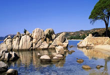 爱游戏大厅-摩洛哥瓦赫达主帅强调比赛节奏，冲击世俱杯冠军信心足