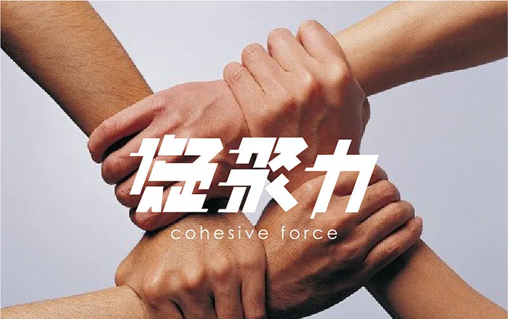 浙江队稳扎稳打，击败对手保持不败的简单介绍