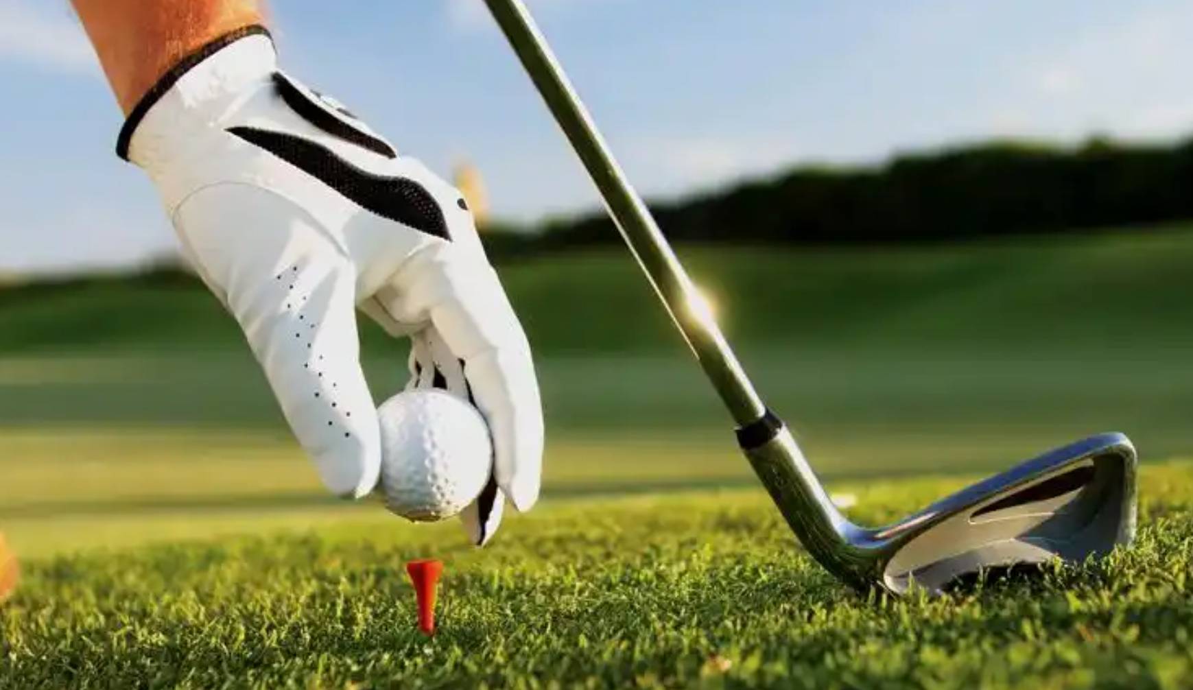 包含顶级比赛精彩纷呈，球场上热点不断刷新的词条