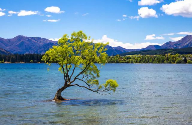 爱游戏APP-包含瑞士启动反击计划，冰岛卫冕争议险胜的词条