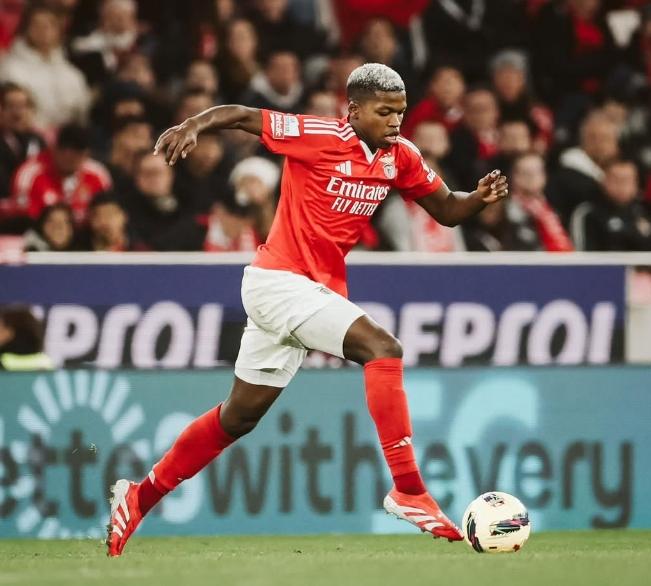 本菲卡中场损伤危及球队胜利希望的简单介绍