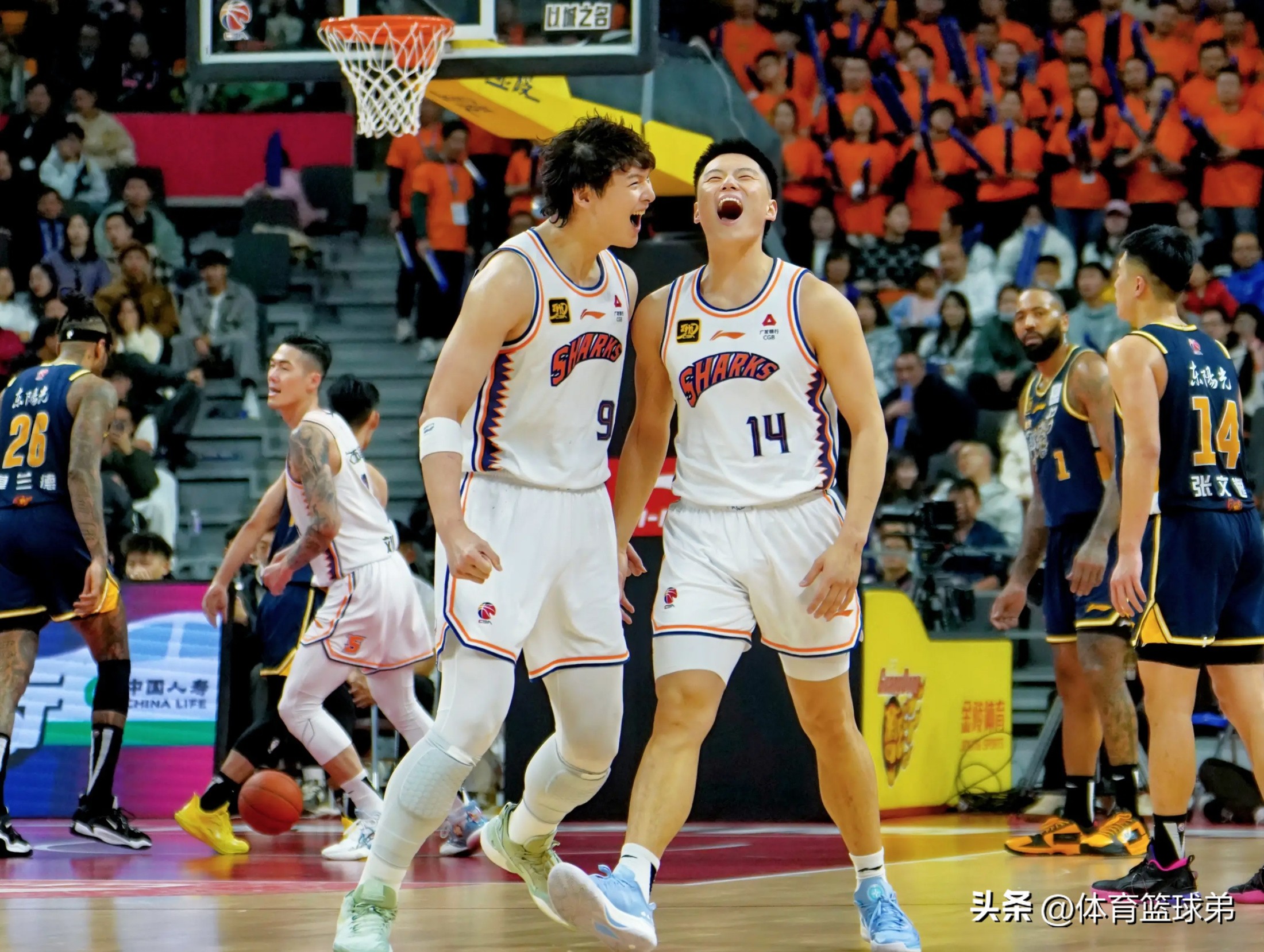 包含浙江队稳扎稳打，击败对手保持不败的词条