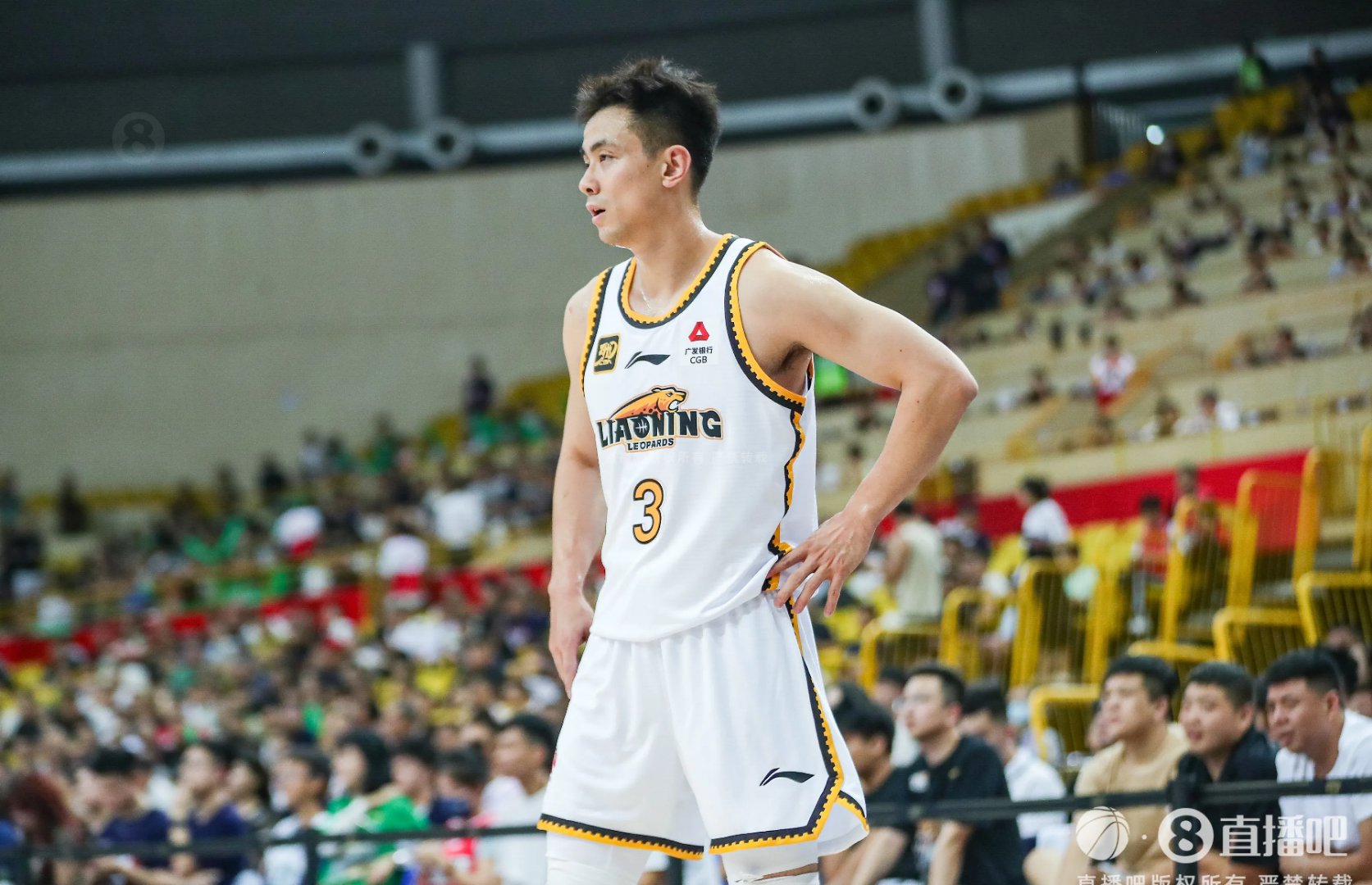 深圳队鏖战灰熊,赵继伟惊艳四座的简单介绍 深圳队鏖战灰熊,赵继伟惊艳四座的简单介绍