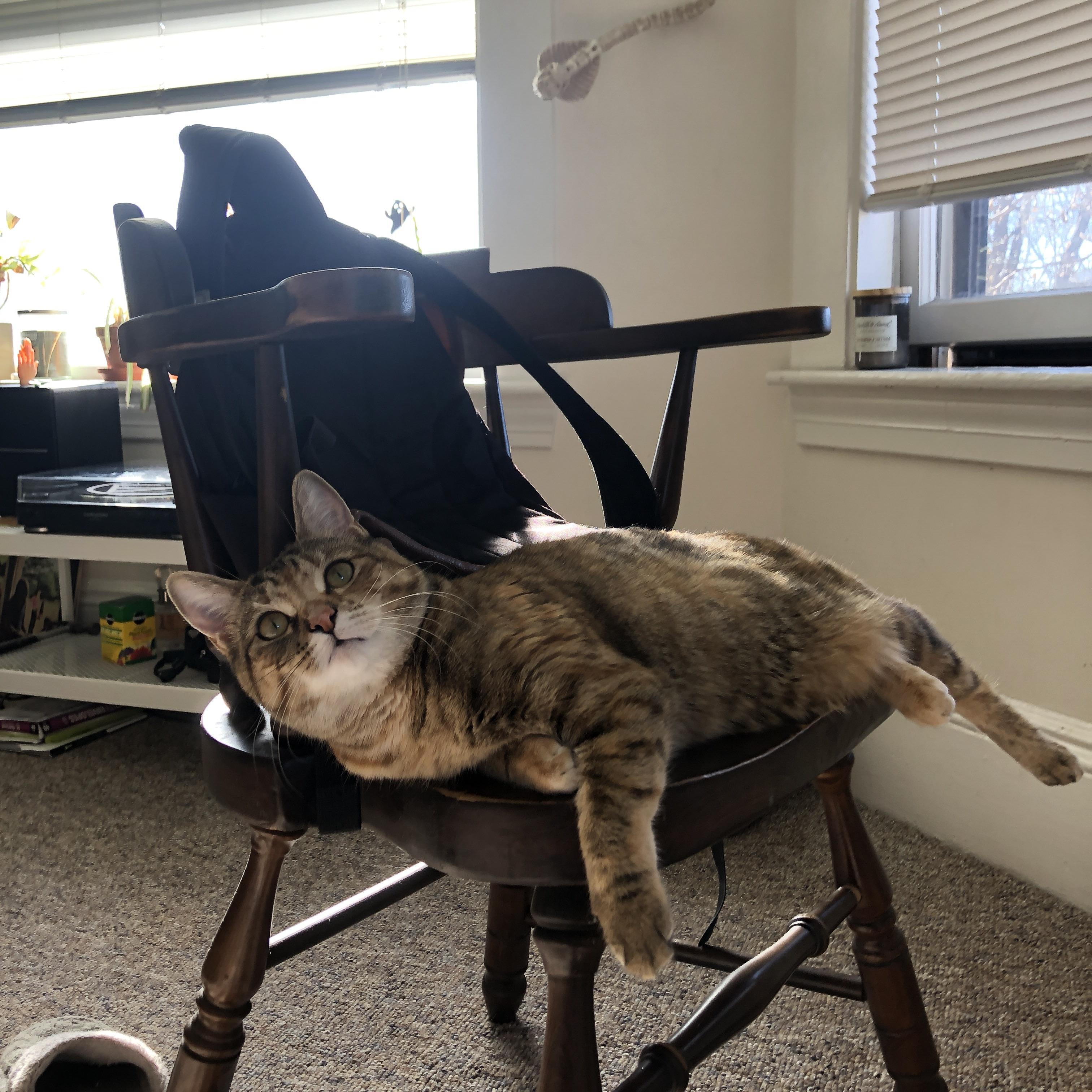 F1引擎的咆哮中,内马尔用一次助攻改变了赛道的DNA