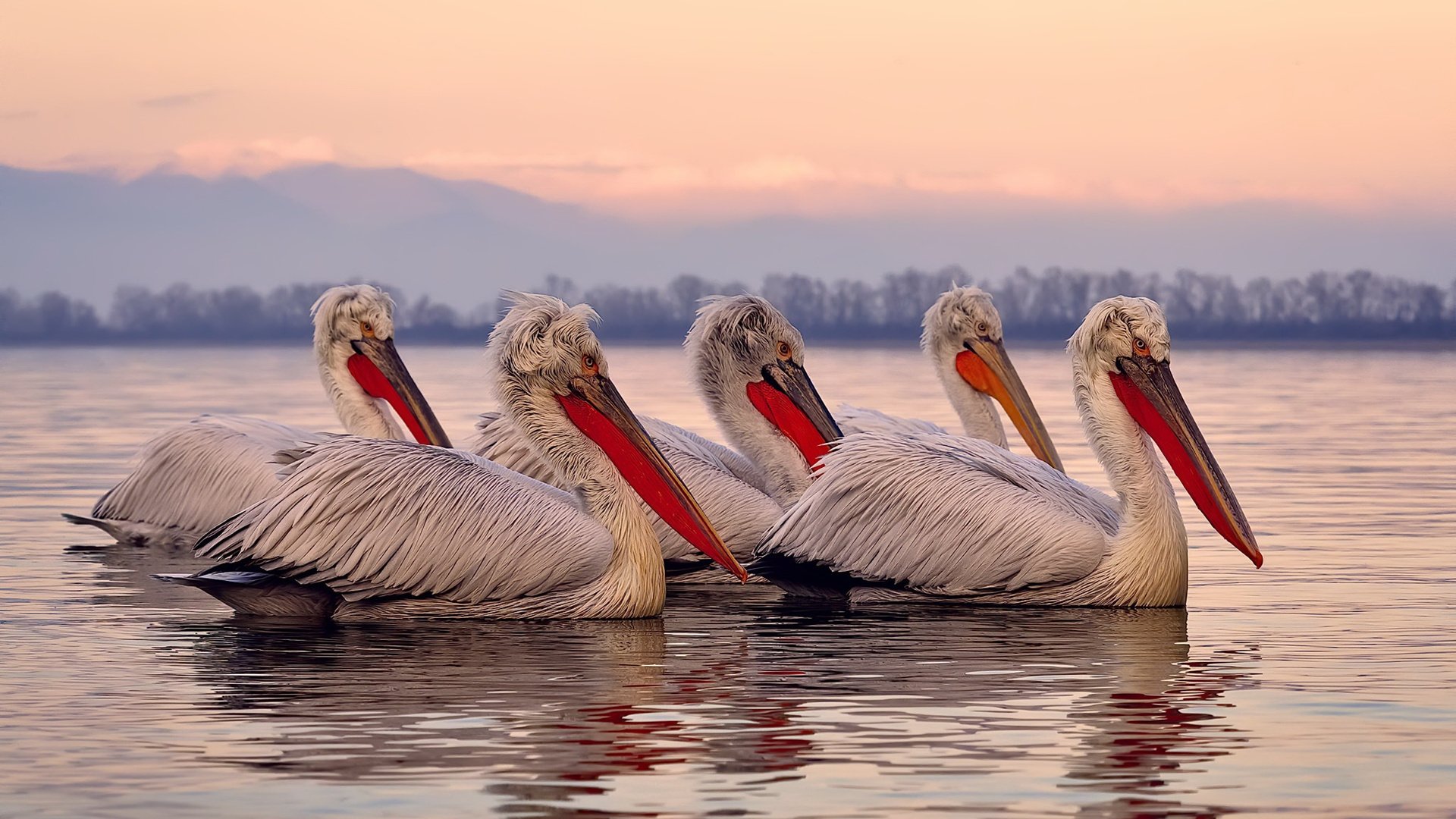 爱游戏tv-法比尼奥，攻防转换的核心与曼城在英格兰的完胜