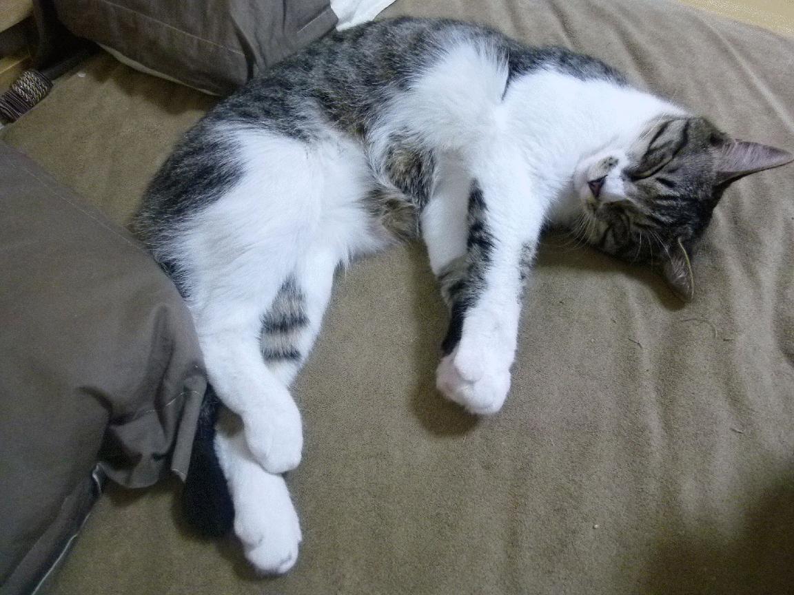 爱游戏娱乐-寒刃破空,抢七夜格林刀锋所向,皆是疆土