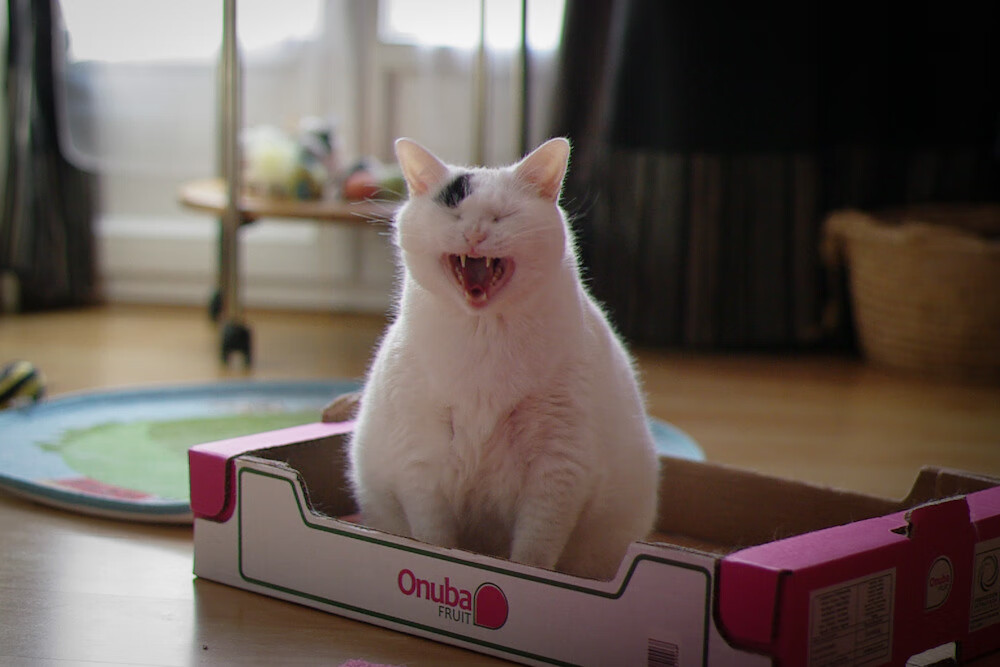 爱游戏下载-夜雨加时,拉文降世!完美之战与不屈凡人的篮球颂歌