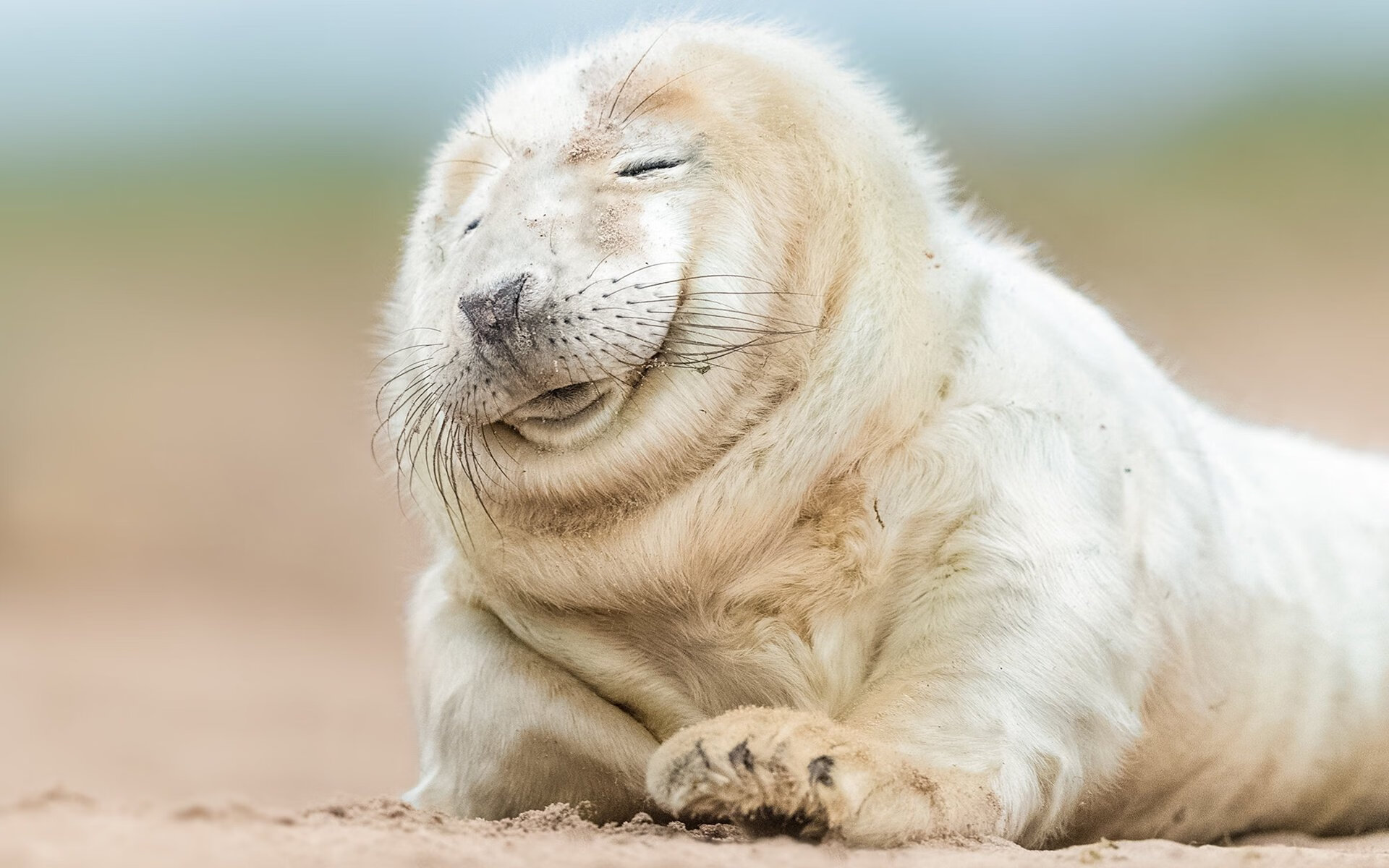 爱游戏-惨烈！地狱级防守撕咬 阿根廷破局西决生死战取希腊