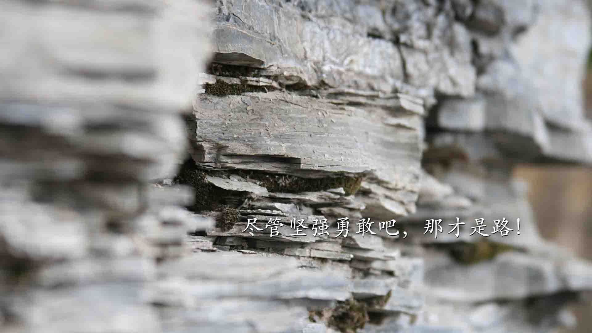 爱游戏官网-西决生死战之夜，本泽马攻防转换核心