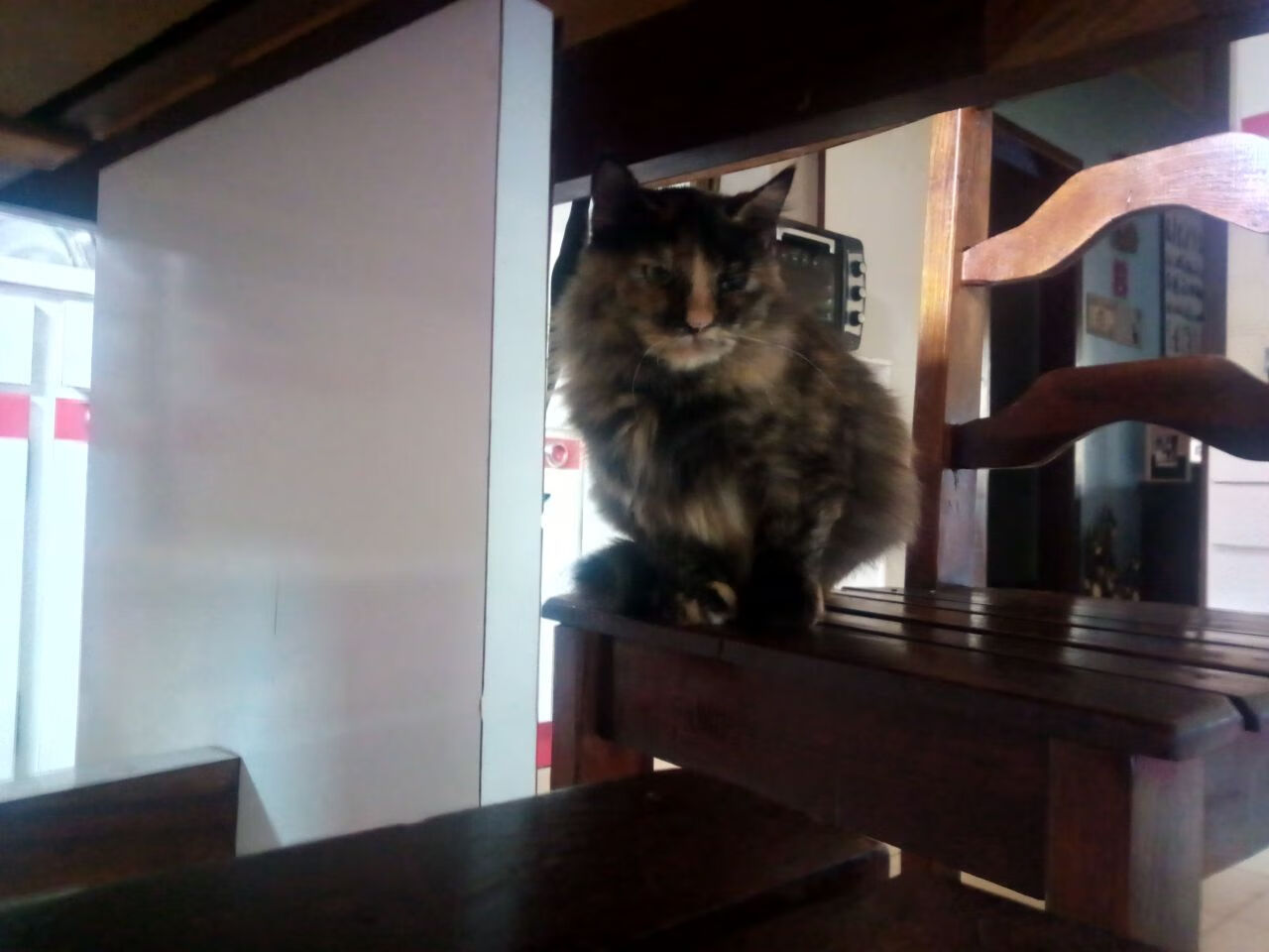 爱游戏APP-穆勒关键一击定乾坤，摩洛哥争冠战力克苏格兰创历史