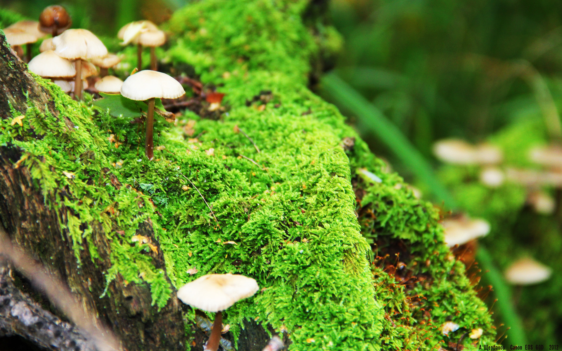 爱游戏APP-勇士客场力克马刺，爱德华兹持续稳定输出彰显新生代力量